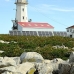 lighthouse_island_seal_machias_v_0132_can0163.jpg